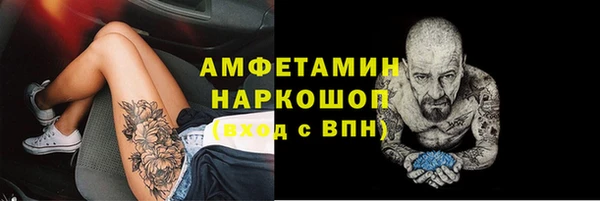 твердый Арсеньев