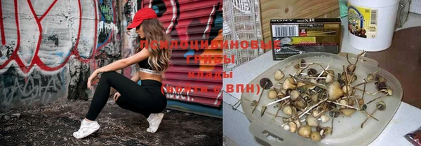 твердый Арсеньев