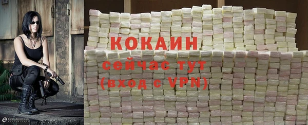 гидра Армянск
