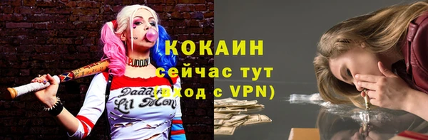 твердый Арсеньев