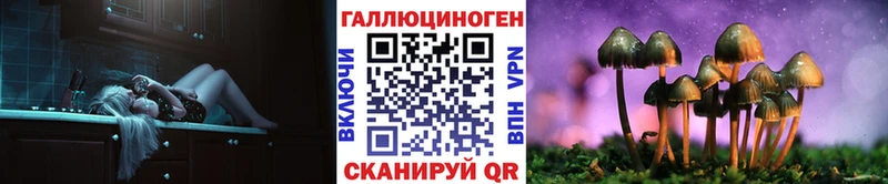 Купить где  Можайск  Псилоцибиновые грибы Magic Shrooms 