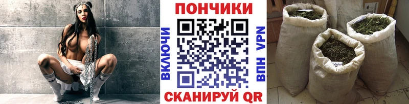 Купить закладки  Можайск  Конопля гибрид 